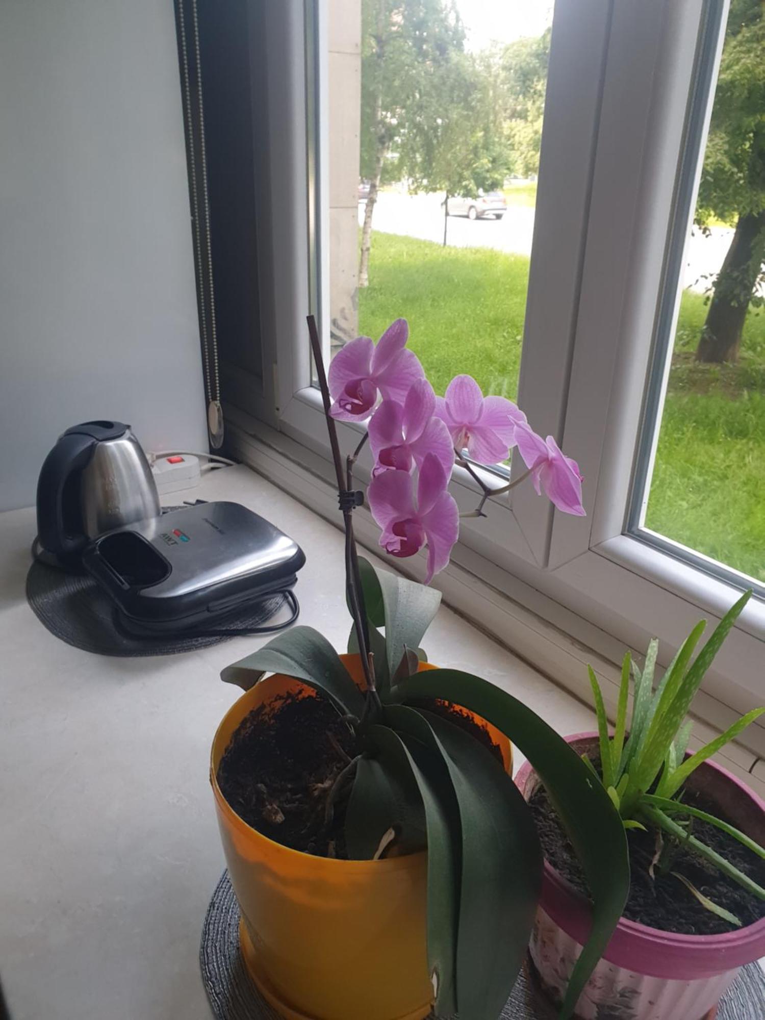 Apartman Oli Сараево Экстерьер фото